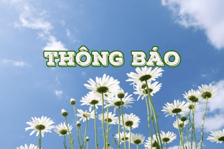 Kết quả kỳ thi khảo sát Tiếng anh hệ 10 năm